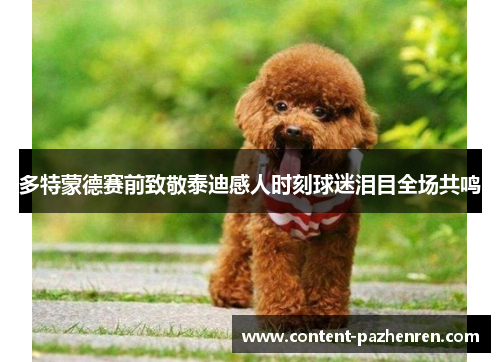 多特蒙德赛前致敬泰迪感人时刻球迷泪目全场共鸣 多特蒙德赛前致敬泰迪感人时刻球迷泪目全场共鸣