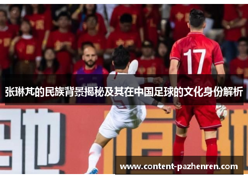张琳芃的民族背景揭秘及其在中国足球的文化身份解析 张琳芃的民族背景揭秘及其在中国足球的文化身份解析