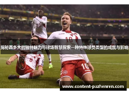 揭秘西多夫的独特魅力与球场智慧探索一种特殊球员类型的成就与影响 揭秘西多夫的独特魅力与球场智慧探索一种特殊球员类型的成就与影响