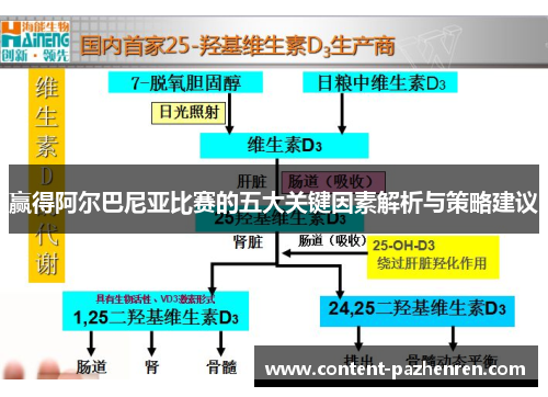 赢得阿尔巴尼亚比赛的五大关键因素解析与策略建议 赢得阿尔巴尼亚比赛的五大关键因素解析与策略建议